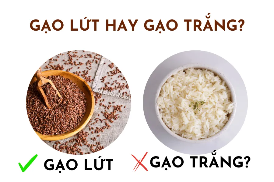 1 Chén cơm bao nhiêu calo – Bí quyết ăn cơm không lo béo