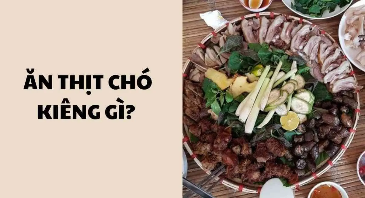 Ăn thịt chó kiêng gì? Nhớ tránh xa những món này kẻo sớm gặp tổ tiên