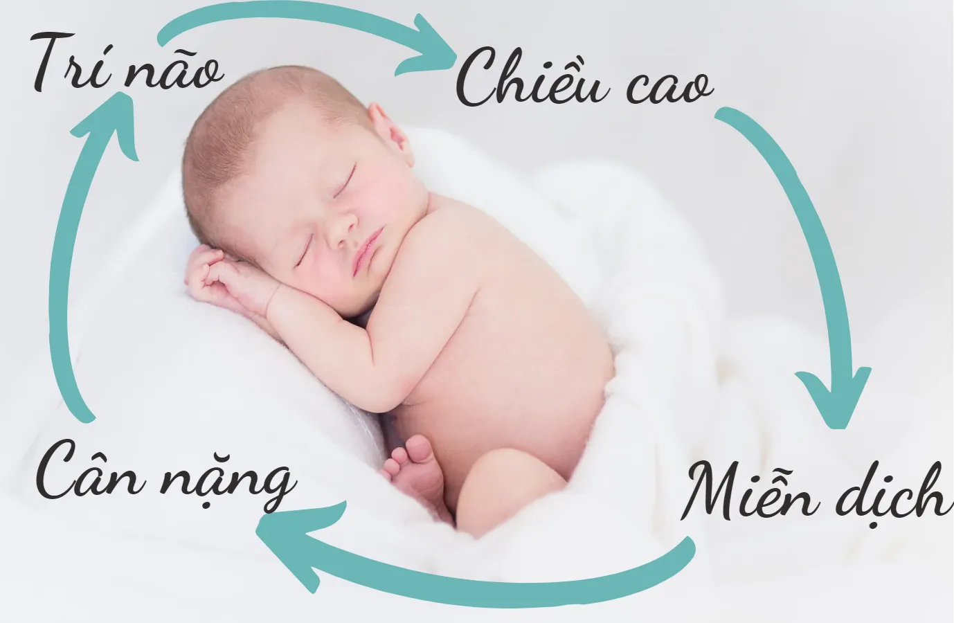 Bật mí cách nấu cháo cá ngừ cho bé không bị tanh, thơm ngon bổ dưỡng