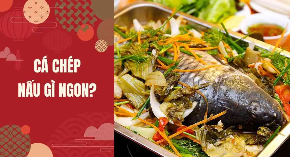 Cá chép nấu gì ngon tốt cho sức khỏe? Lưu ngày công thức chế biến vạn người mê