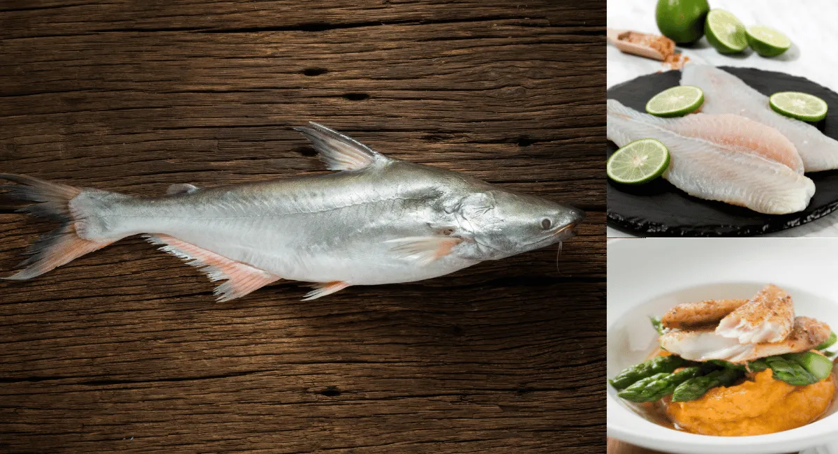 Cá hú là cá gì? Thực phẩm người ăn kiêng nhất định không nên bỏ qua