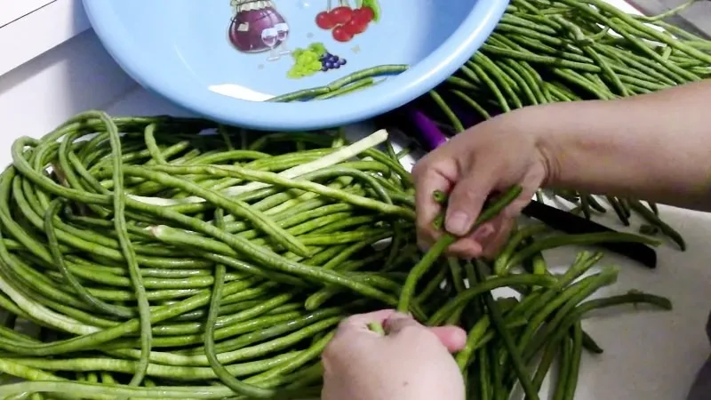 Cách làm đậu đũa muối chua giòn ngon sần sật, món lạ hao cơm cho ngày Tết