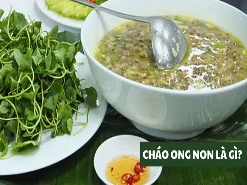 Cách nấu cháo ong vò vẽ bổ dưỡng, thơm ngon, ăn một lần là nhớ mãi