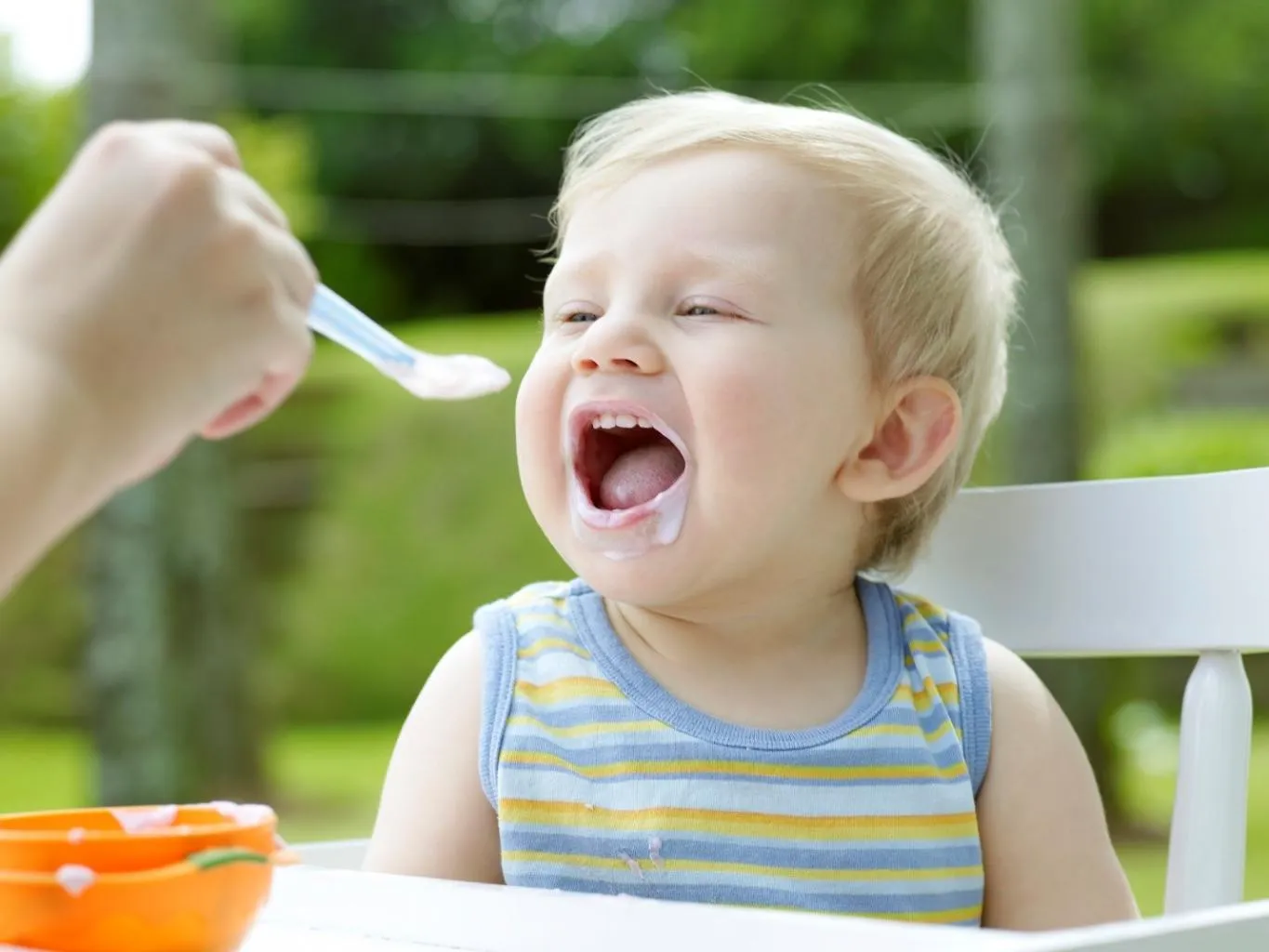 Cách nấu cháo táo phô mai: Bí quyết ăn dặm dinh dưỡng số một cho bé