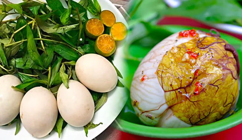 Chuyên gia ẩm thực mách bạn cách nấu trứng vịt lộn ngon nhất – lưu ngay để dùng