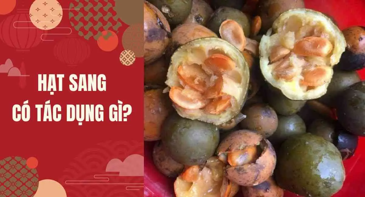 Hạt sang có tác dụng gì? Chúng có thật sự diệu kỳ như lời đồn?