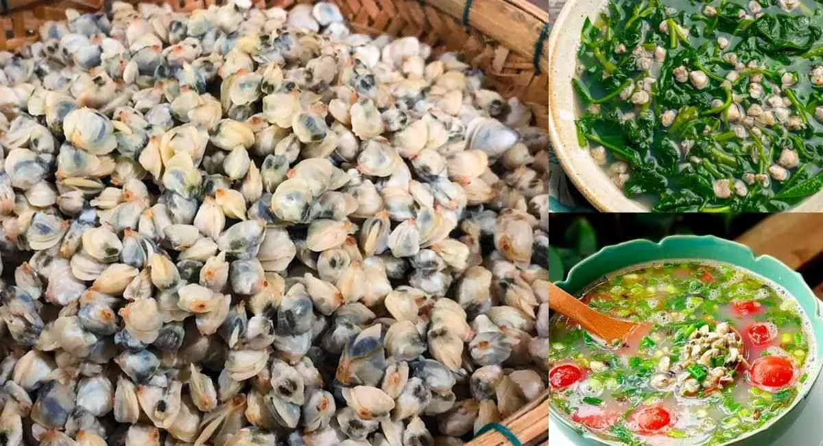 Hến nấu canh gì ngon? Những món canh hến thơm ngon hết ý không thử tiếc hùi hụi