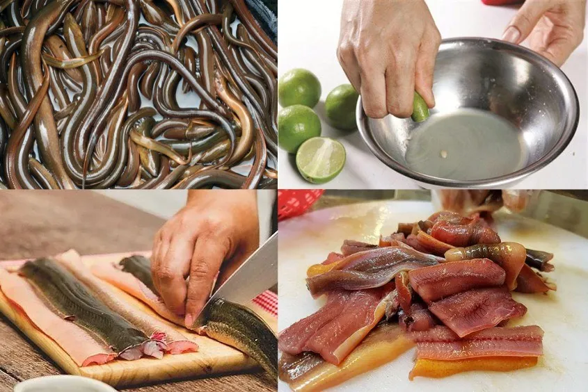 Mách bạn cách nấu cháo lươn thơm ngon, chuẩn vị xứ Nghệ tại nhà