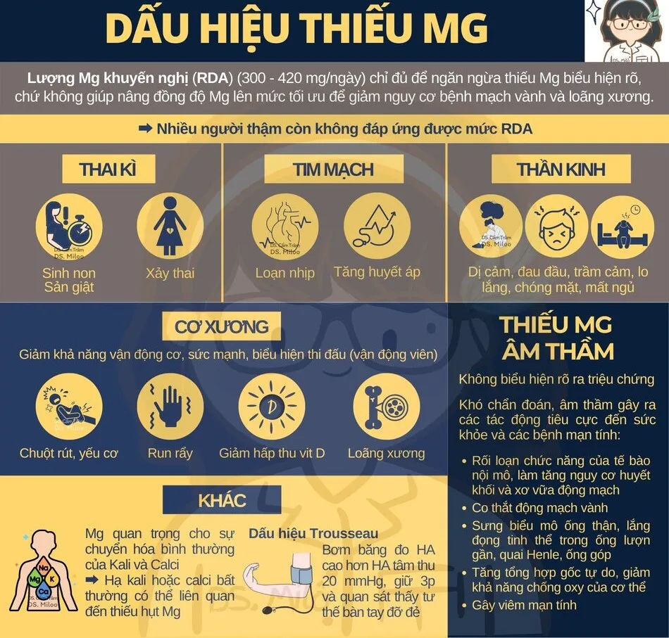 Magie có trong thực phẩm nào? Top thực phẩm giàu magie phòng ngừa đột quỵ hiệu quả