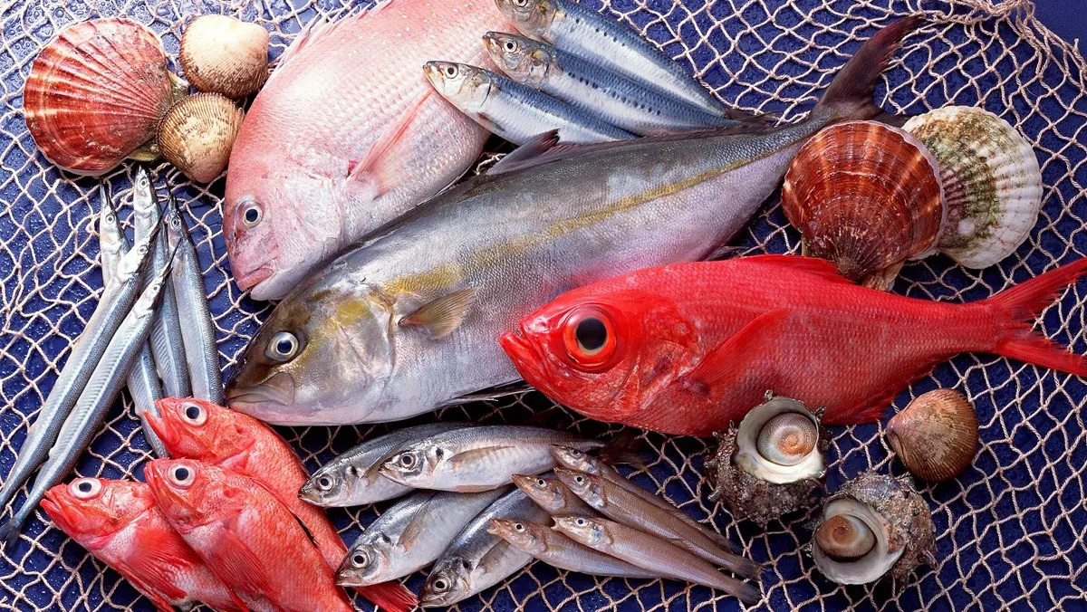 Những loại cá phổ biến để làm món cá rang muối sả ớt thơm ngon