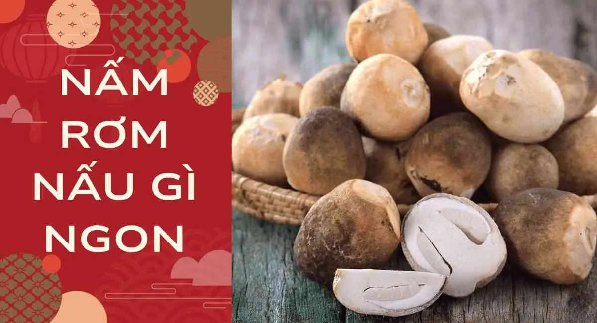 Nấm rơm nấu gì ngon? 5 món ăn nấu từ nấm rơm ăn hoài không chán