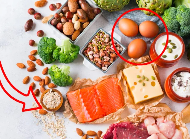 Protein có trong thực phẩm nào? Loại thực phẩm giàu protein