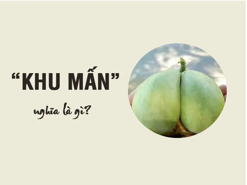 Quả khu mấn là gì? Sự thật bất ngờ về loại quả ít người biết