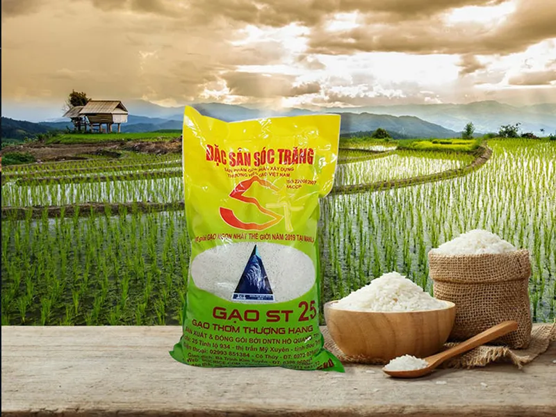 Review gạo ST25 – Gạo ngon nhất thế giới trên mâm cơm người Việt