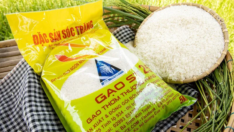 Review gạo ST25 – Gạo ngon nhất thế giới trên mâm cơm người Việt