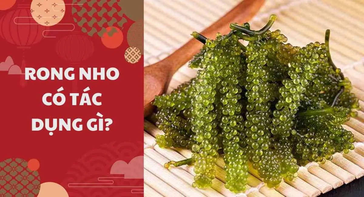 Rong nho có tác dụng gì? 9 công dụng bất bại có tất cả trong một của rong nho