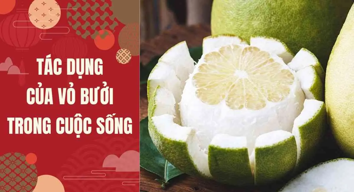 Tác dụng của vỏ bưởi trong cuộc sống: Tưởng là phần bỏ đi nhưng lại hữu ích không ngờ