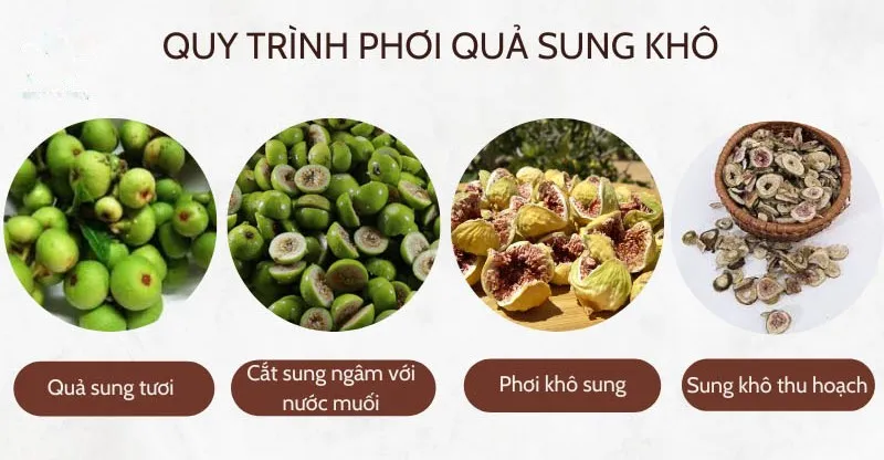 Uống nước quả sung phơi khô có tác dụng gì? Thứ nước rẻ như cho công hiệu thần kỳ