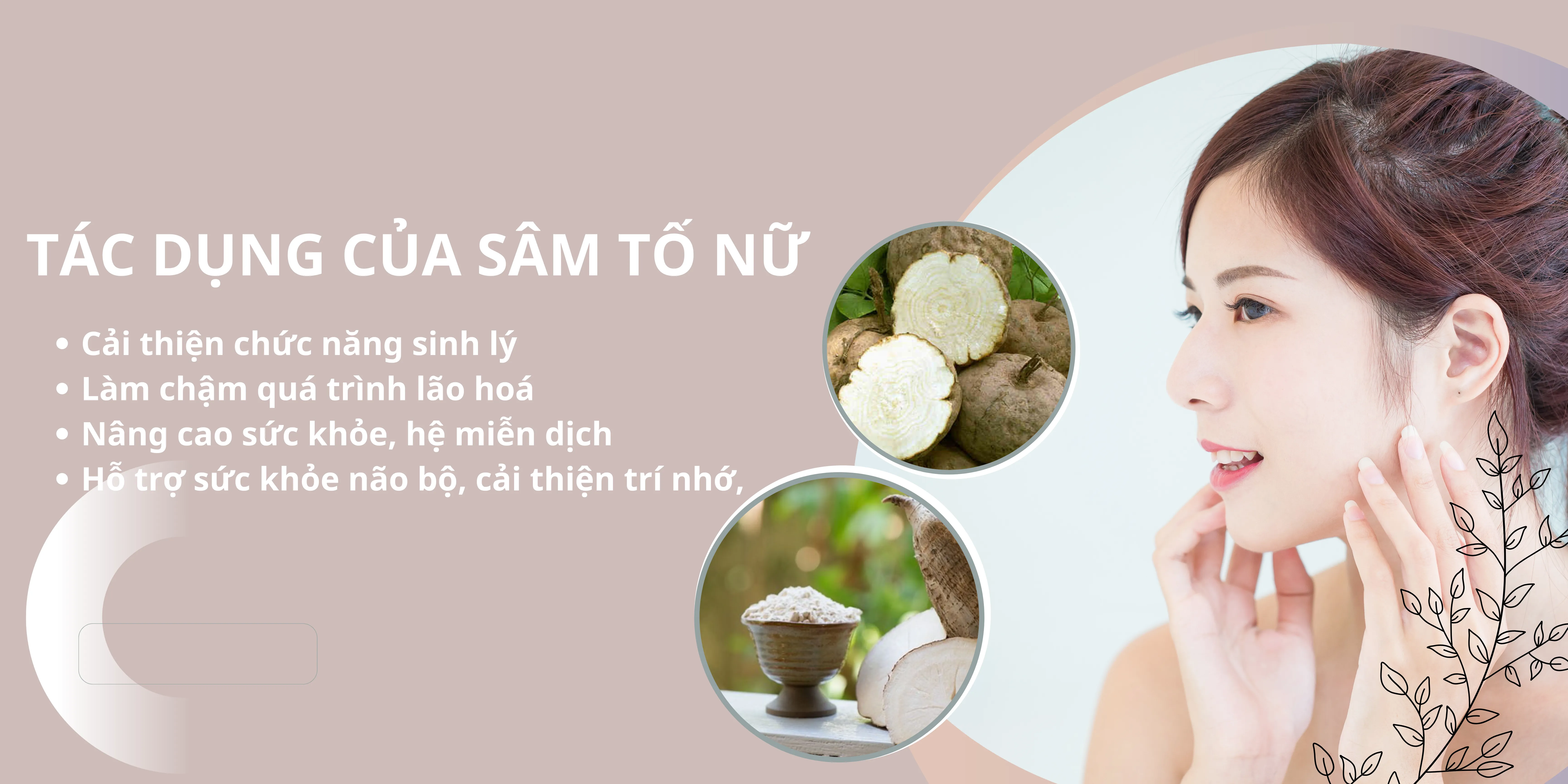 Uống sâm tố nữ bao lâu thì có tác dụng? Lưu ý khi dùng giúp nhân đôi hiệu quả