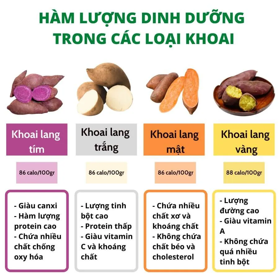 Vitamin B6 có trong thực phẩm nào? Top 13 loại giàu B6 có sẵn trong căn bếp nhà bạn