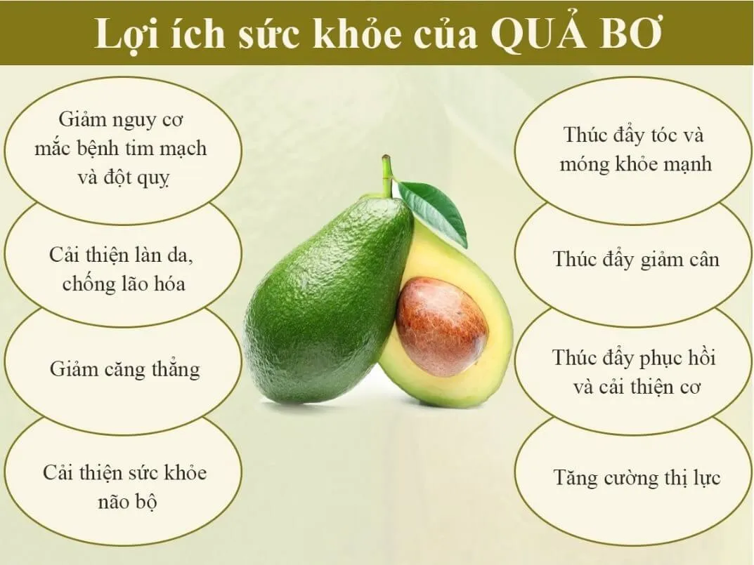 Vitamin B6 có trong thực phẩm nào? Top 13 loại giàu B6 có sẵn trong căn bếp nhà bạn