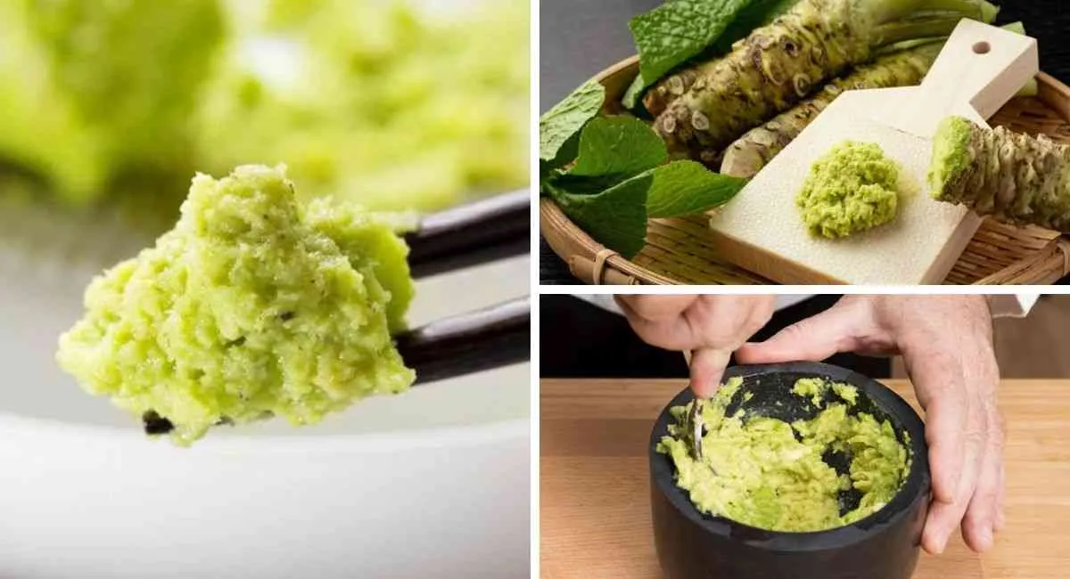 Wasabi là gì? Lợi ích ít người biết về loại nguyên liệu thần dược này