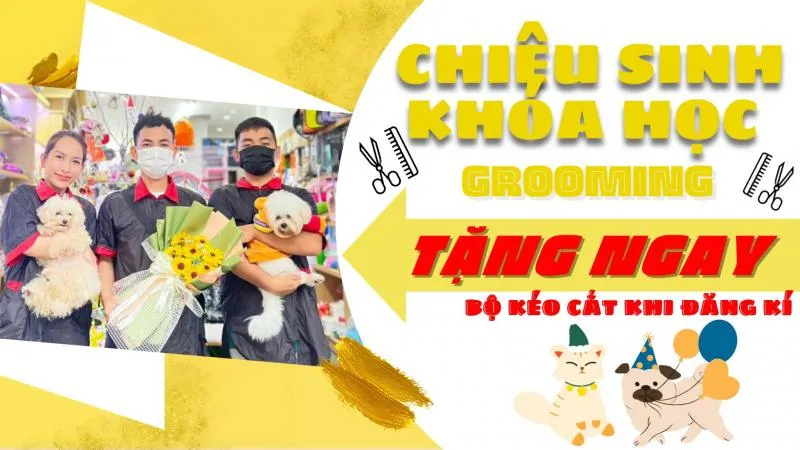 Top 3 Địa chỉ đào tạo cắt tỉa lông thú cưng chuyên nghiệp nhất tỉnh Khánh Hòa