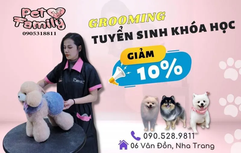 Top 3 Địa chỉ đào tạo cắt tỉa lông thú cưng chuyên nghiệp nhất tỉnh Khánh Hòa