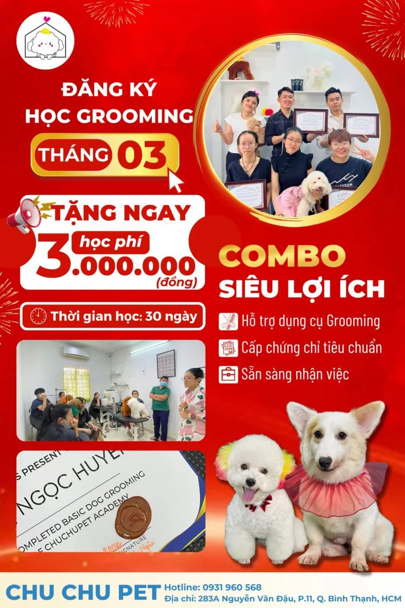 Top 6 Địa chỉ đào tạo cắt tỉa lông thú cưng chuyên nghiệp nhất TP. HCM