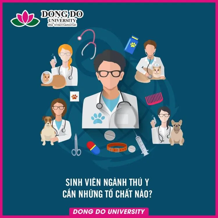 Top 8 Trường dạy nghề bác sỹ thú y tốt nhất Hà Nội